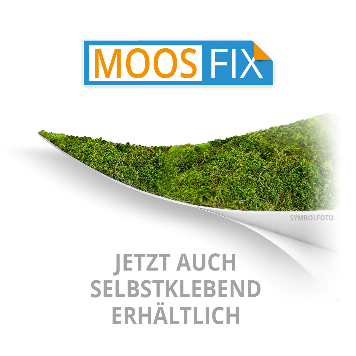 Waldmoos Logos / Schriften - Fichte - mit Rahmen